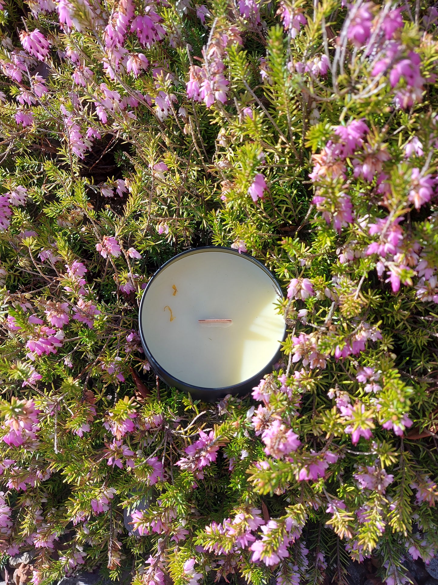 Tree of Life - Forest Walk Candle